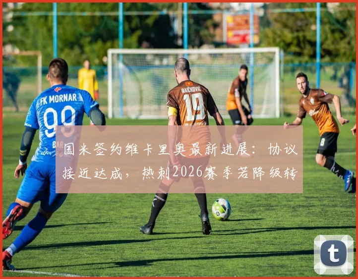 国米签约维卡里奥最新进展：协议接近达成，热刺2026赛季若降级转会费有望降低，附门将引援市场深度解读